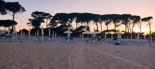 A casa di Milena - Porto Recanati - 8