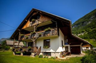 Apartment and room Mateja Kovačič - Bohinj - 0