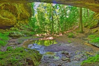 Mammoth Cave Cabin Rentals 4 - 4