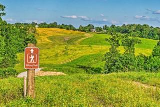 Mammoth Cave Cabin Rentals 7 - Cub Run - 0