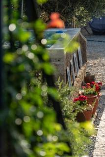 ROSA XVI - Garden Guest House - 3