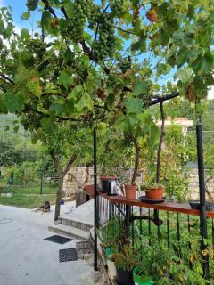 Guest house Duletic - Budva - 8