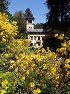 Rapunzel trifft Dornröschen - Schweizermühle - 7