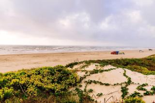 The Turtle Pack at Palmilla Beach - 7