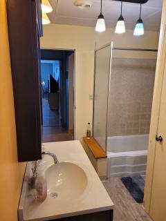 Great Chicago getaway 2 bedrooms Sleeps 1 to 4 - Chicago - 6