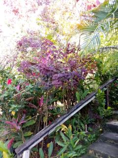 Island Home - Honiara - 3