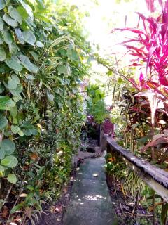 Island Home - Honiara - 2