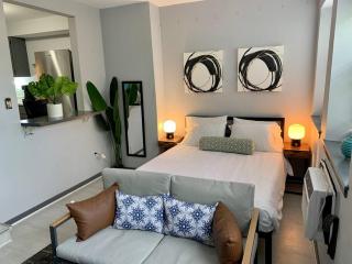 Explore North Side Chicago from Modern Studio APT - Chicago - 8