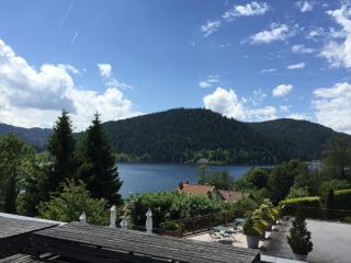 Le Manoir Au Lac - 7