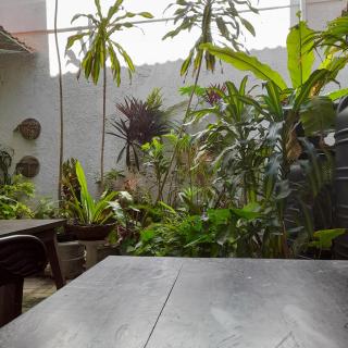 Shoba Traveller's Tree Homes stay - Galle - 3