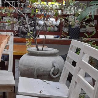 Shoba Traveller's Tree Homes stay - Galle - 6