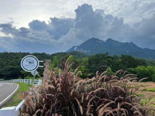 Sky The Campers - Chiang Dao - 8