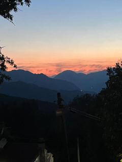 Alla tana del bianconiglio - 1