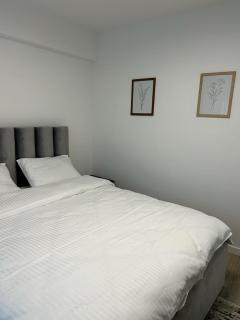 Traian Taranu Apartment - Suceava - 3