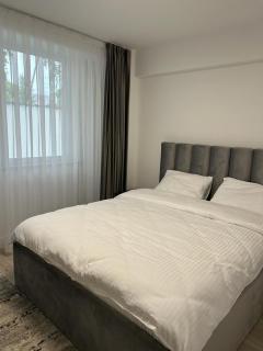 Traian Taranu Apartment - Suceava - 5