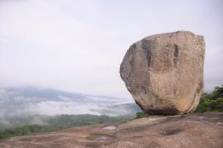 Vamoose Homestay Halligade - Chikmagalur - 7