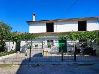 L'uliveto sui Trabocchi - 7