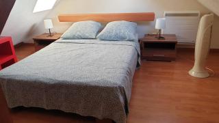Chaleureux duplex en Alsace - Mulhouse - 9