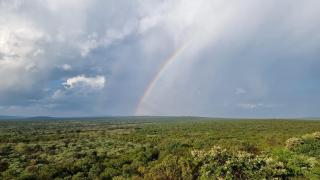 Bushwa Private Game Lodge - Vaalwater - 6