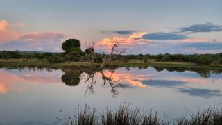 Bushwa Private Game Lodge - Vaalwater - 3