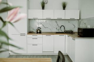 Apartament Magnolia -centrum - 2