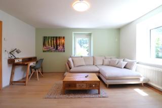 Montfort Apartments - Feldkirch - Feldkirch - 3