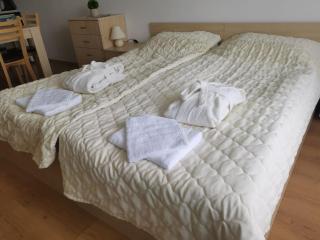 Фамилно студио Alex&Marry Аспен Резорт Банско - 2