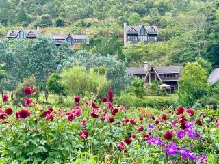 Lat Valley Retreat Village - 9