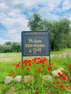 Agriturismo Podere Marchiano - Larciano - 4