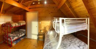 Russell Falls Holiday Cottages - 4