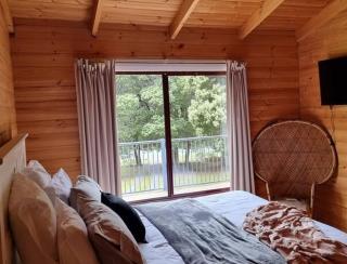Russell Falls Holiday Cottages - National Park - 5