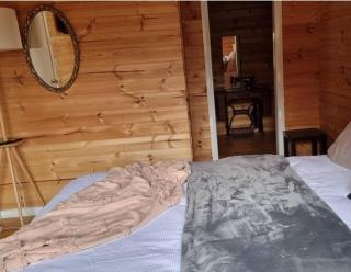 Russell Falls Holiday Cottages - National Park - 9