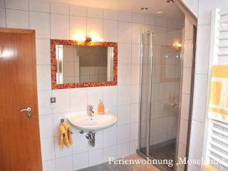 Ferienwohnungen Ferienland Cochem - Bruttig-Fankel - 2