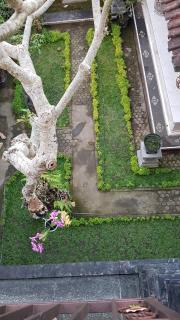 Villager's House Ubud - Gianyar - 4