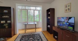 Traveler's Retreat - Braşov - 1