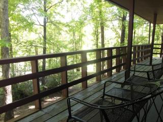 Four-Bedroom House - Mount Ida - 4