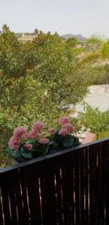 Hotel Cortijo de Salia - Alcaucín - 2