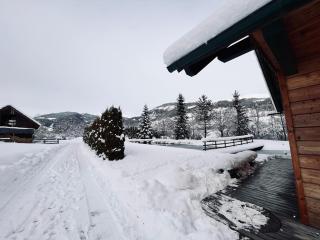 Chalet am Teich Familie Gänser - Feistritz am Kammersberg - 5