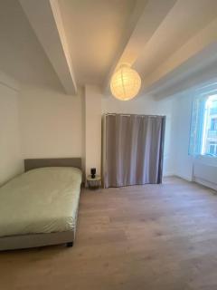 LE GARIBALDI-Grand appartement avec 3 chambres-Gare-Wifi - 8