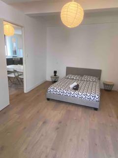 LE GARIBALDI-Grand appartement avec 3 chambres-Gare-Wifi - 7