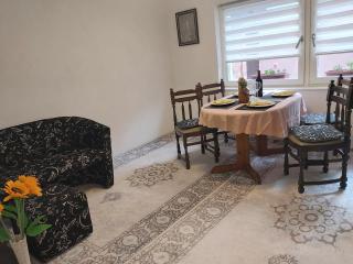 Apartment Kadinica - Visoko - 1