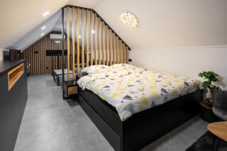 Villa in the Vineyard with Pool, HotTub & Sauna - Lendava - 7