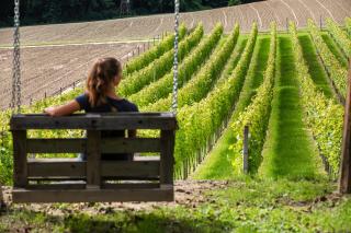 Villa in the Vineyard with Pool, HotTub & Sauna - Lendava - 1