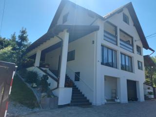 Vila vio - Băile Borşa - 0