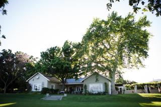 Doran Vineyards - 5