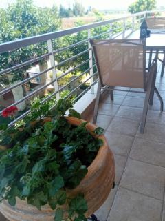 Rodiola House - Afitos - 4