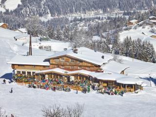 Alpengasthof Hochsöll - Söll - 6