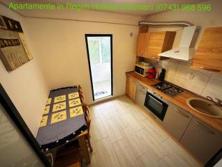 Apartament cu 2 dormitoare decomandat/Utilat acceptam plata cu cardul oferim factura - Botoşani - 7