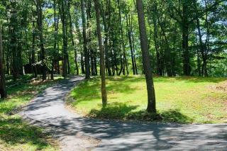 Foxtail Orchards - The Fox Den - Tazewell - 1