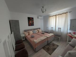 Casa Ramona - Socodor - 0